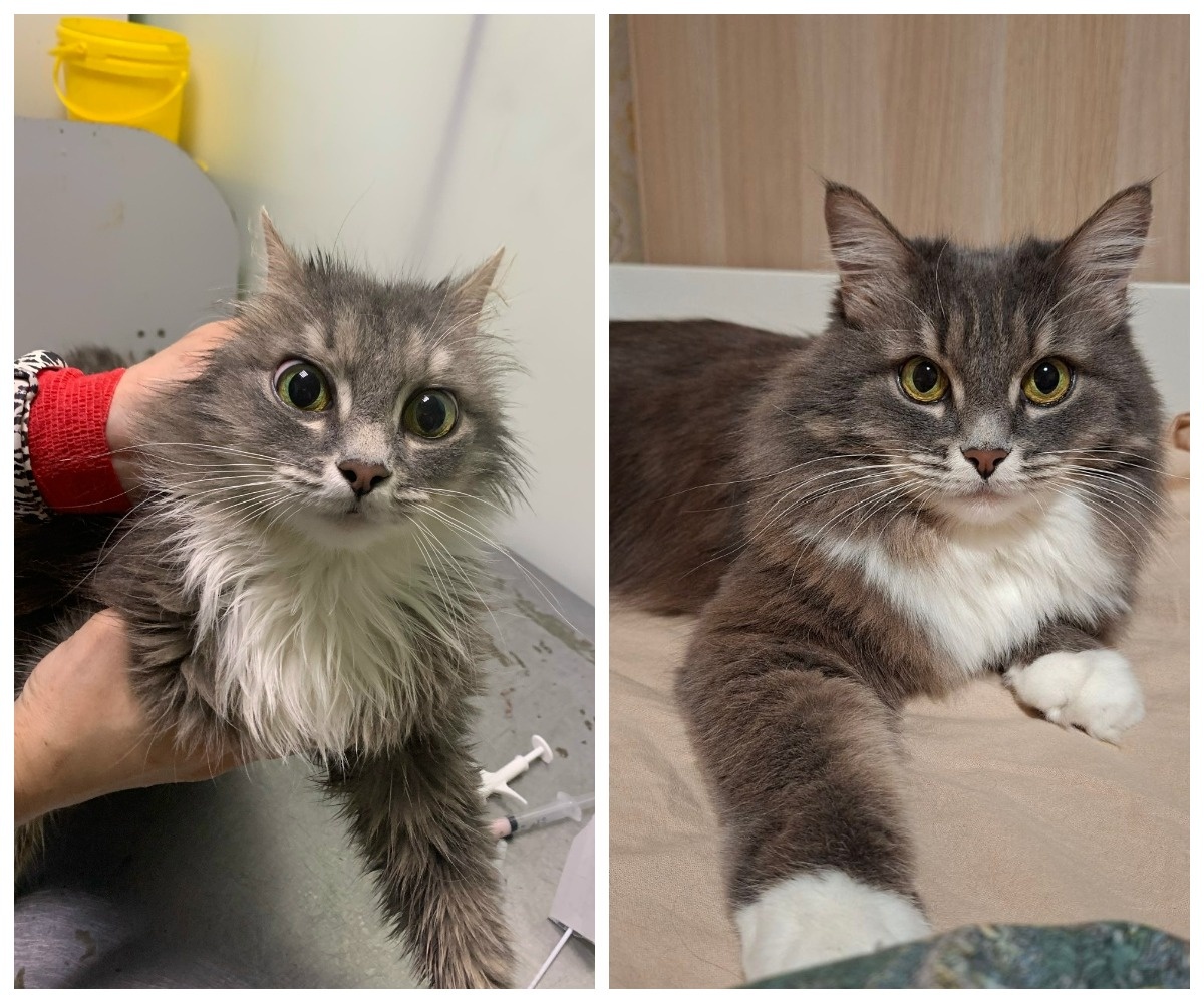 Флафия – выпускница приюта.