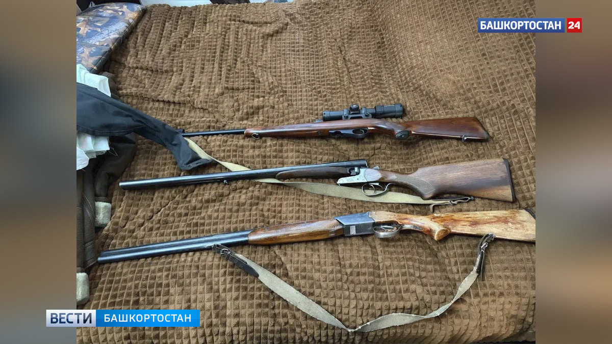   В Хайбуллинском районе Башкортостана сотрудники полиции задержали браконьера, застрелившего косулю