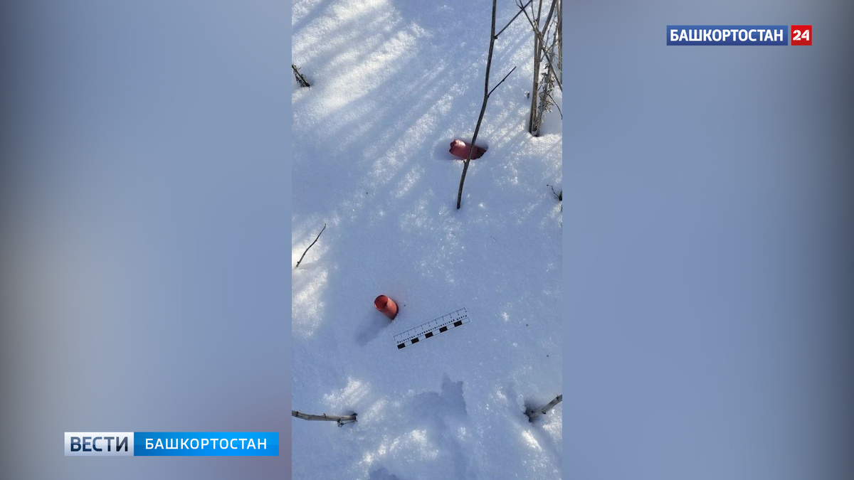    В Хайбуллинском районе Башкортостана сотрудники полиции задержали браконьера, застрелившего косулю