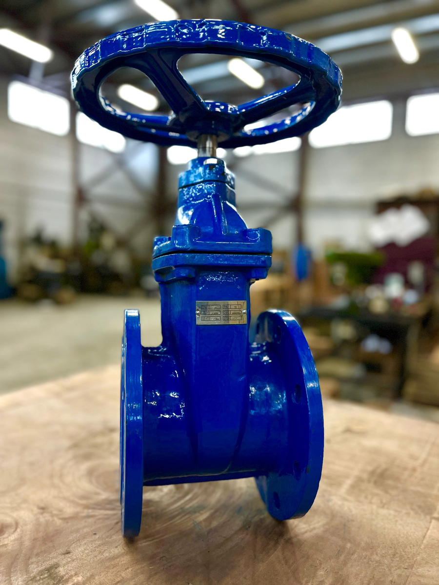 Рисунок 1 - Задвижка с обрезиненным клином 30вч39р КВАНТ