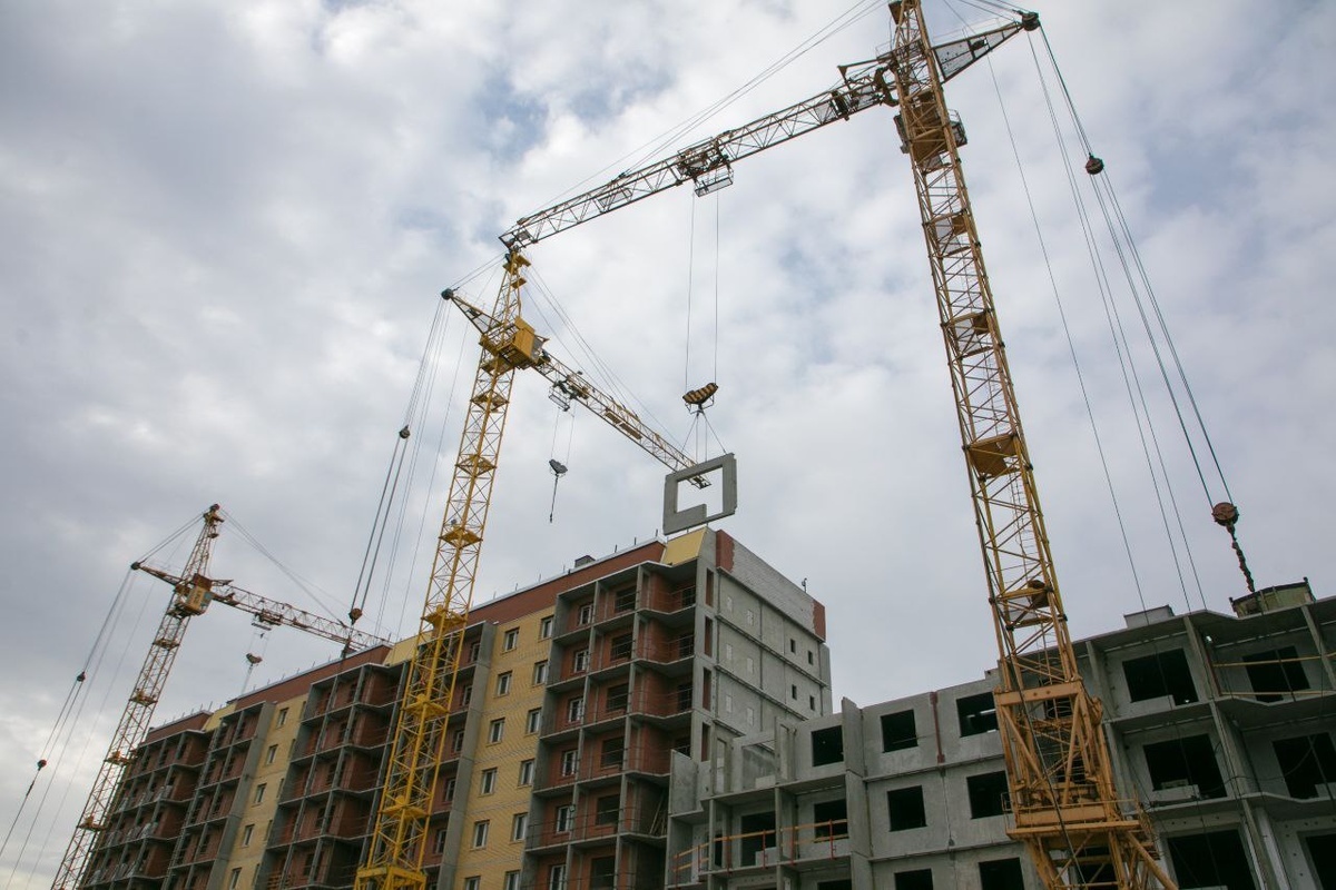    Фото: t.me/Tsybulskiy_A