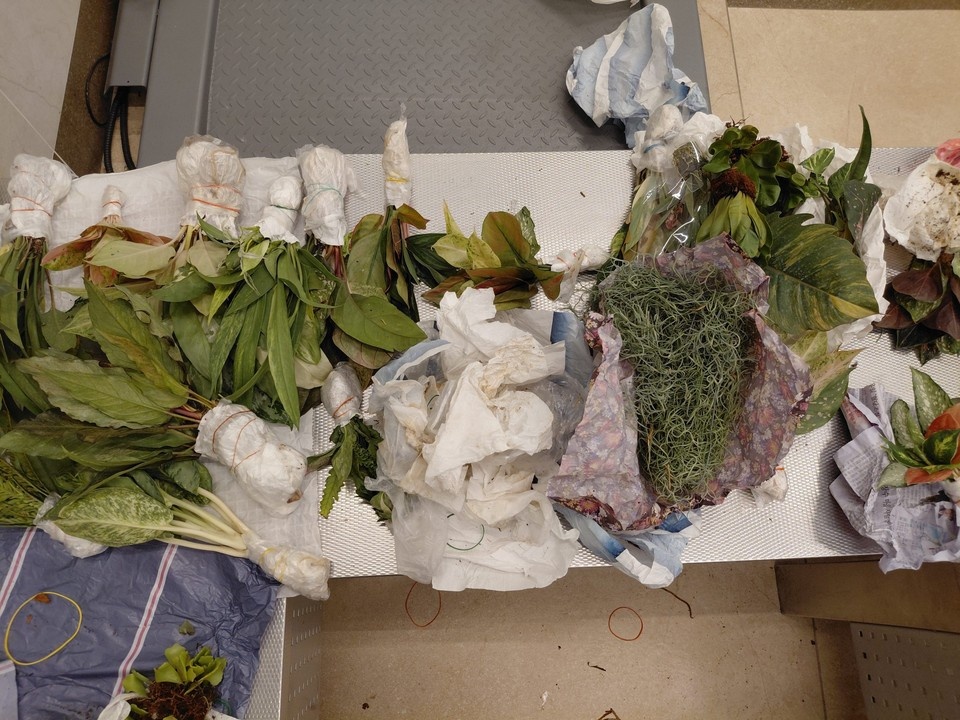    Фото: Управление Россельхознадзора по Красноярскому краю