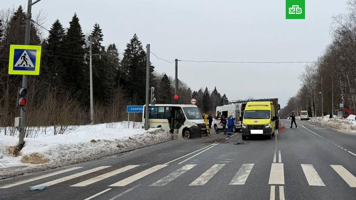    Фото: gibdd50mo / t.me