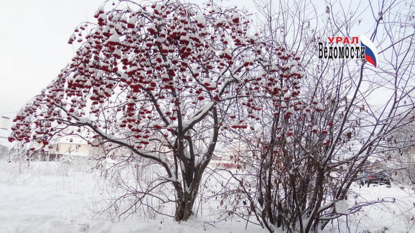 В Свердловскую область идут морозы до -29°C и снег