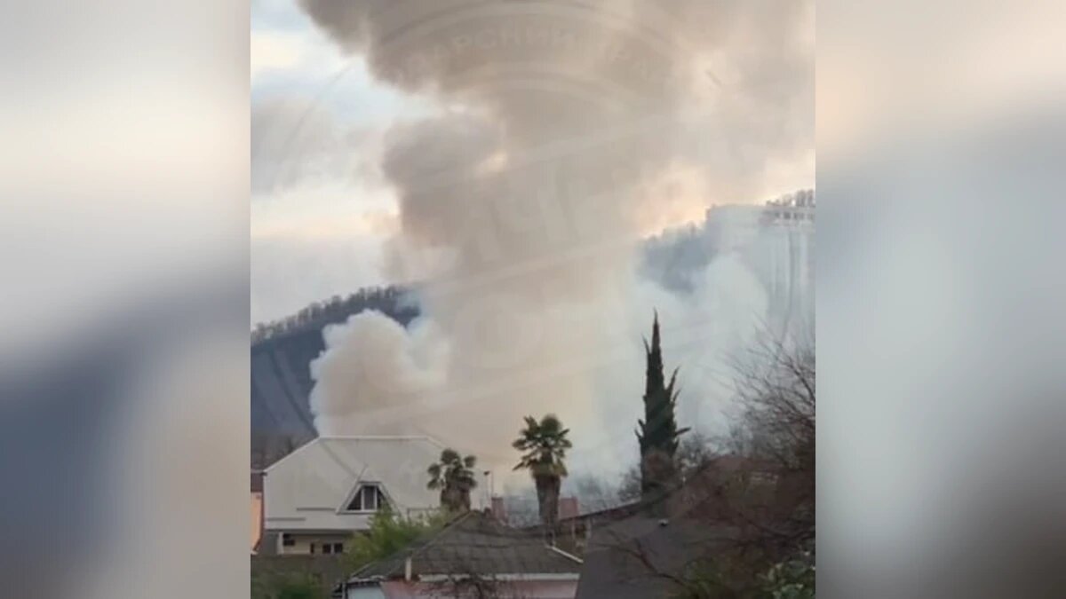    Скриншот видео t.me/sochitypical