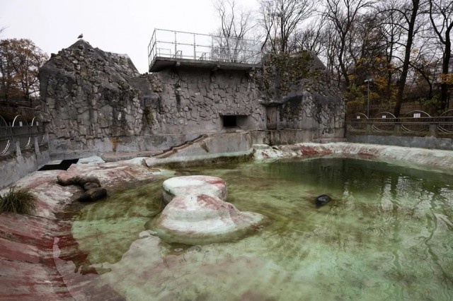   Фото из архива Калининград.Ru