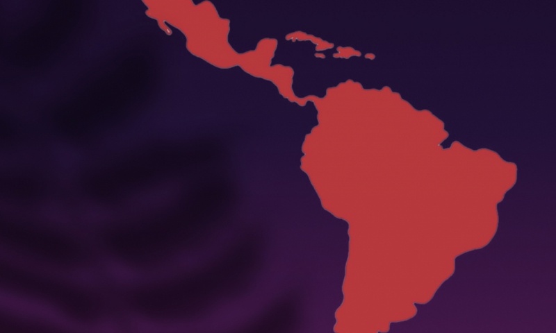    Иллюстрация: REX