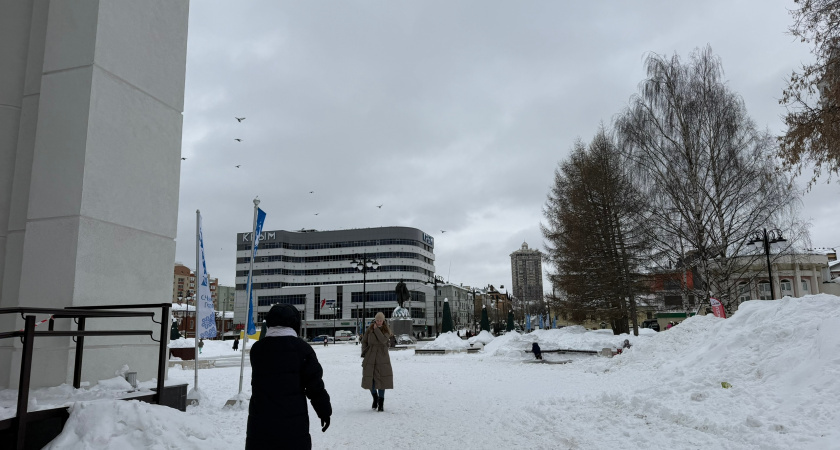    Фото progorod43.ru