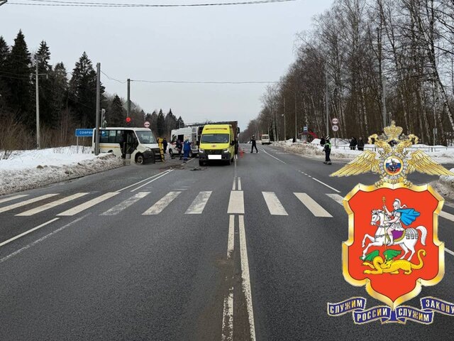    Фото: телеграм-канал "Подмосковная полиция"