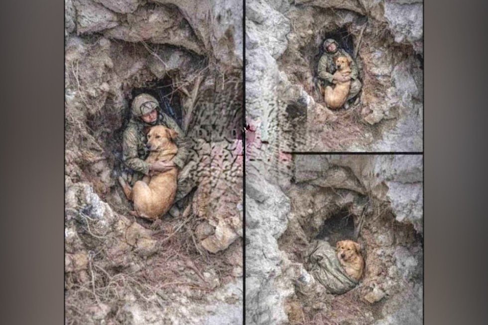    Фото: Соцсети/ "РГ" Василий Шеин