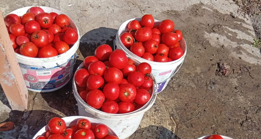    фото smilekaluga.ru