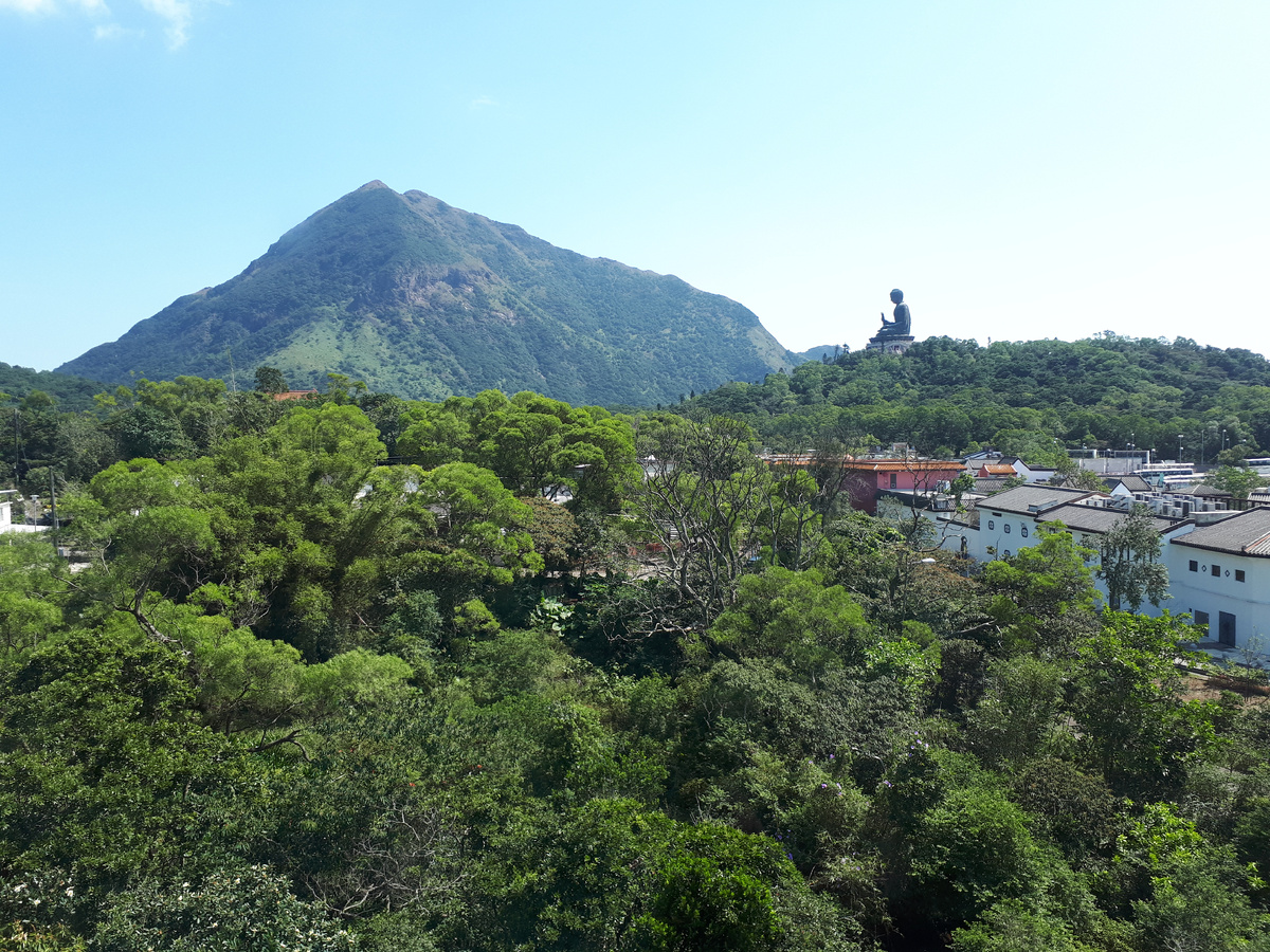 Тот самый случай, когда Большой Будда кажется маленьким