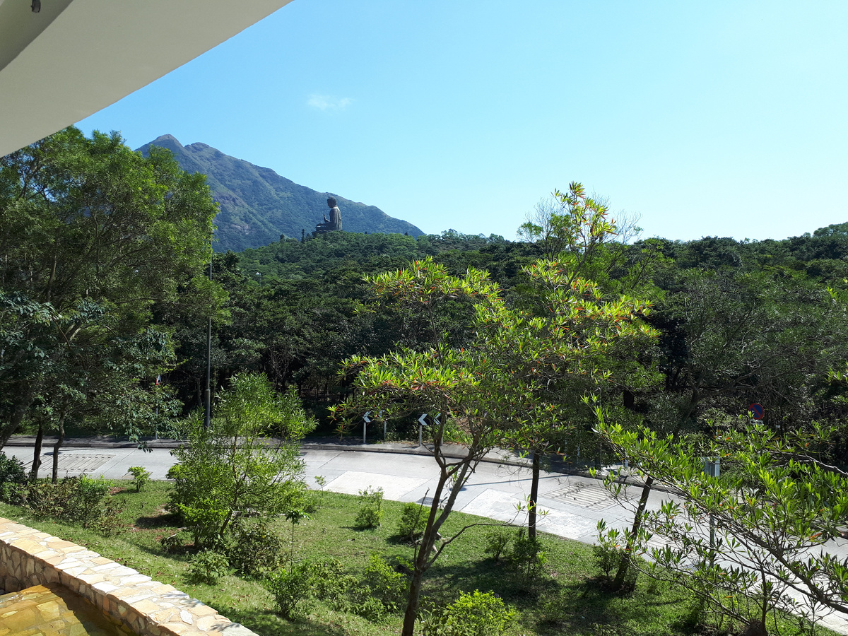 Надо бы подойти к нему поближе чтобы он стал побольше