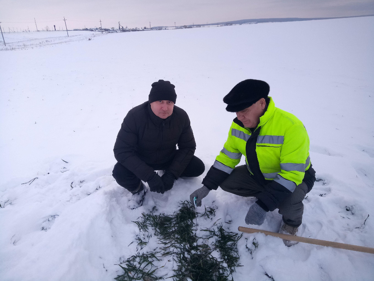 Фото – район авыл хуҗалыгы һәм азык-төлек идарәсе архивыннан.