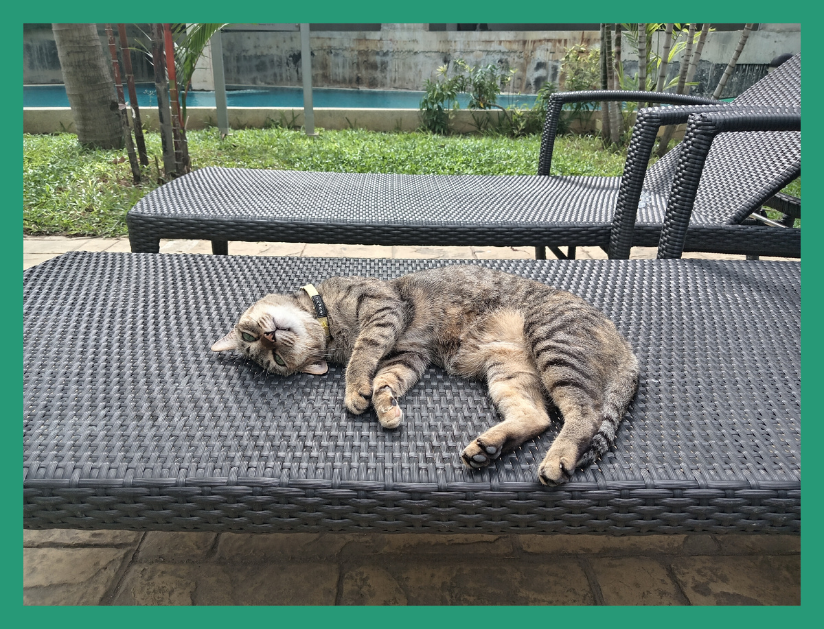 А может просто кому то занял место?