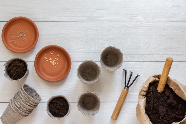 Источник фото shutterstock.com