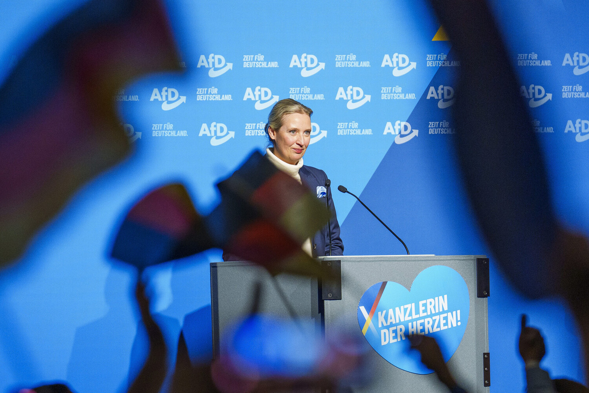    Вайдель: Болваны у власти в Германии загнали страну в тупик