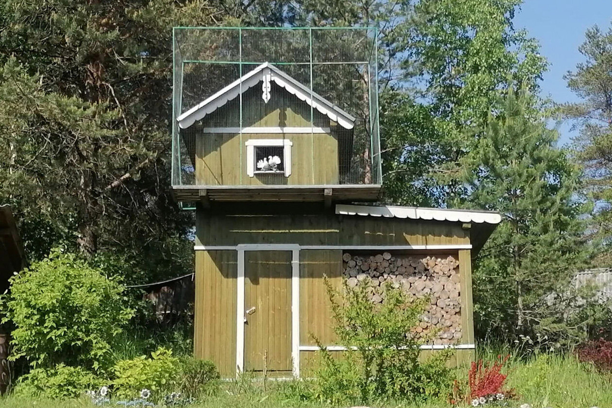 Зато хозяин восстановил голубятню и ещё несколько объектов и с удовольствием пускает во двор гостей. Фото: Bastard / Яндекс Карты