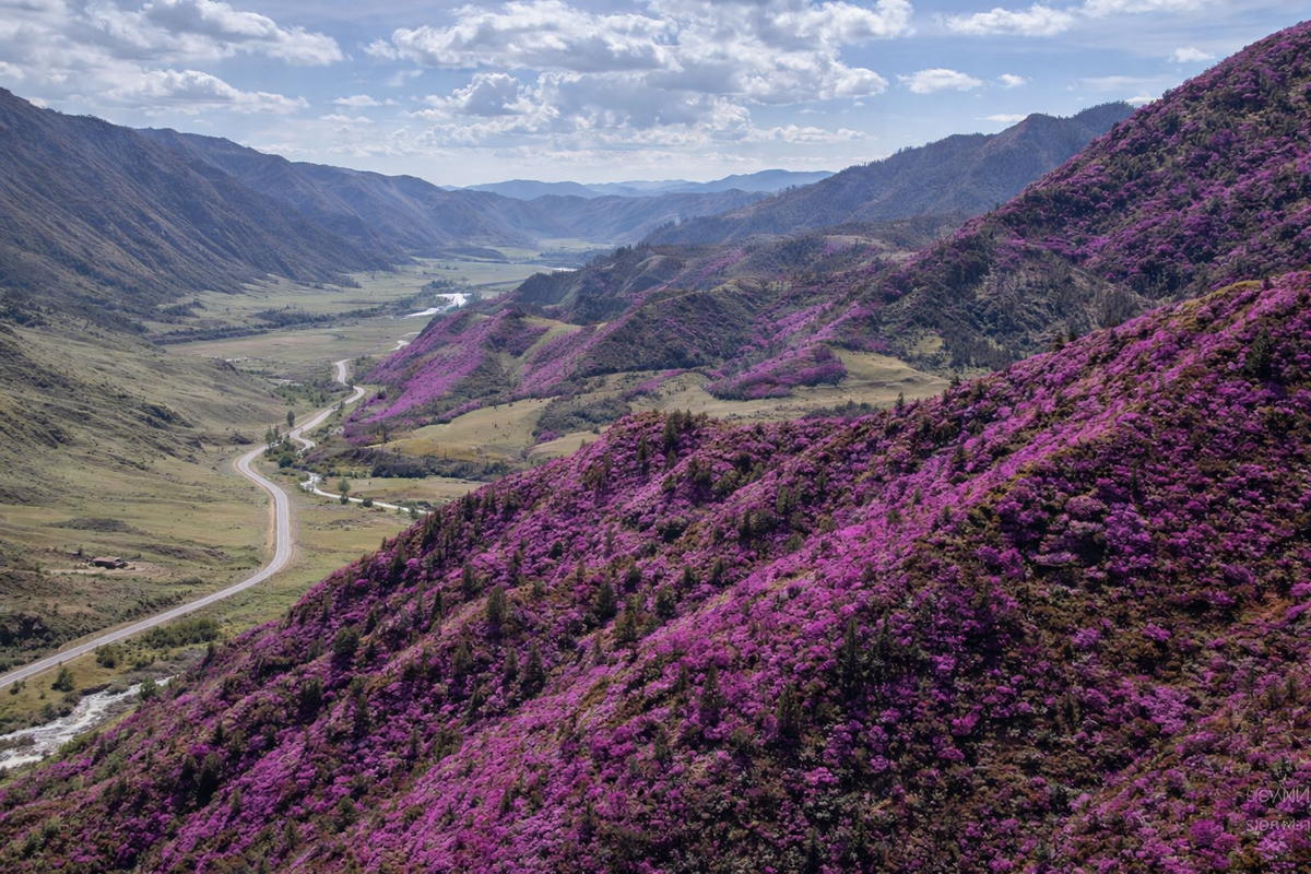 Тур на Алтай летом с Вместе Тревел