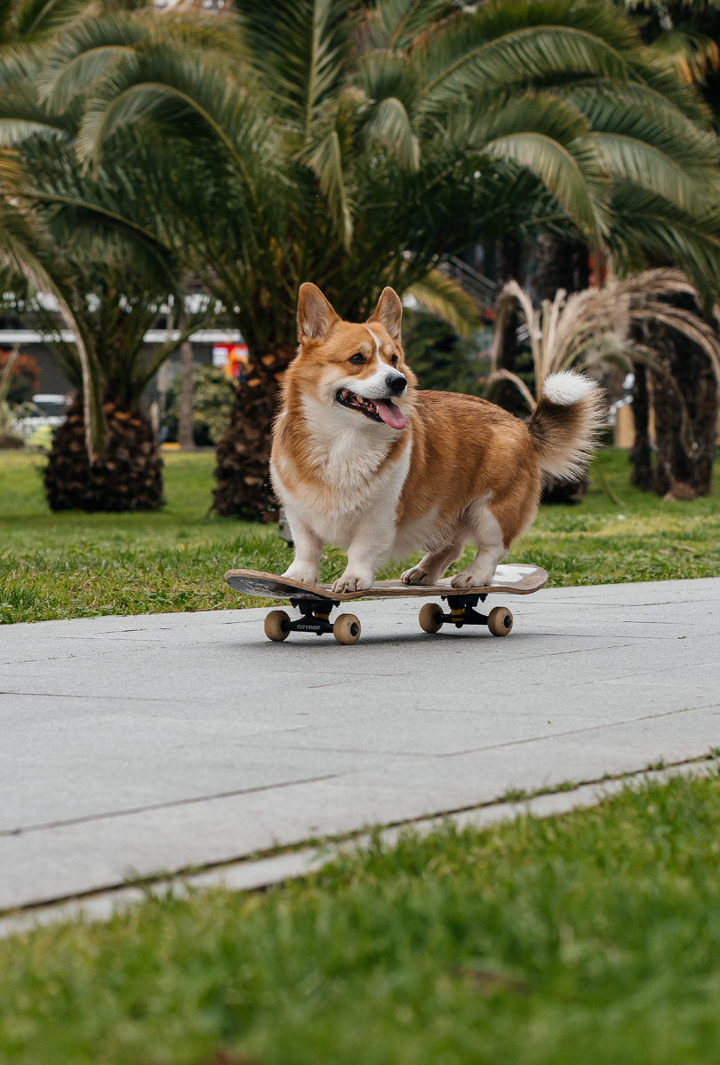 Корж Марти на скейте 