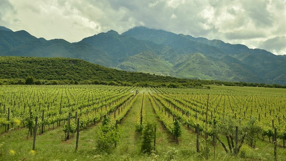    Автор фото: Михаил Тихонов