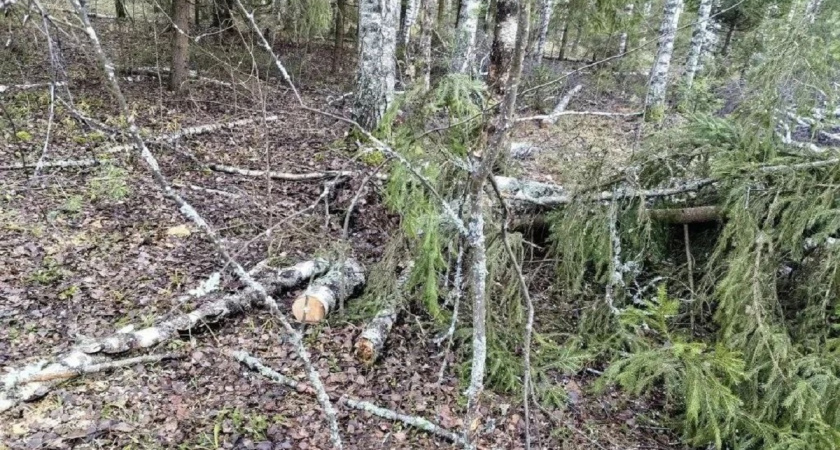    Фото: пресс-служба областной прокуратуры