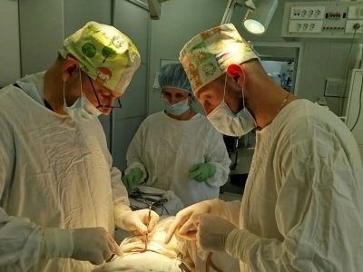    Фото: Михаил Охлопков / ВК