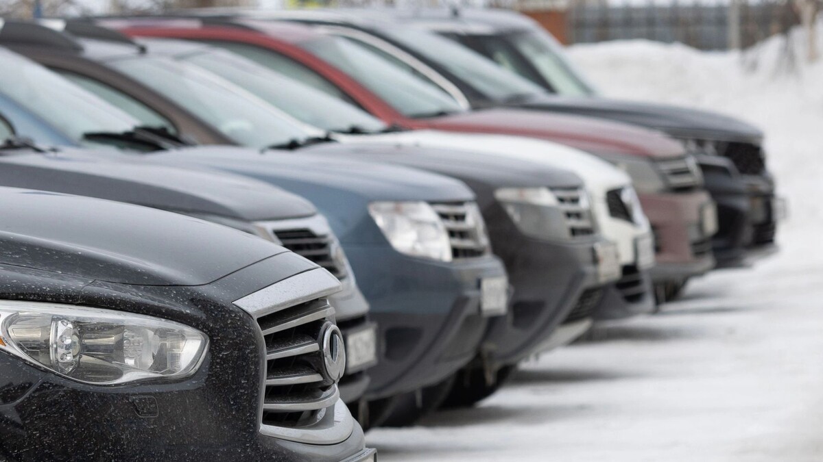    Фото: Сергей Зубков/«Ямал-Медиа»