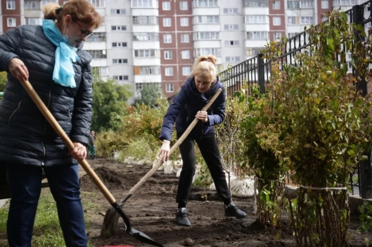    Мусорное дерево?