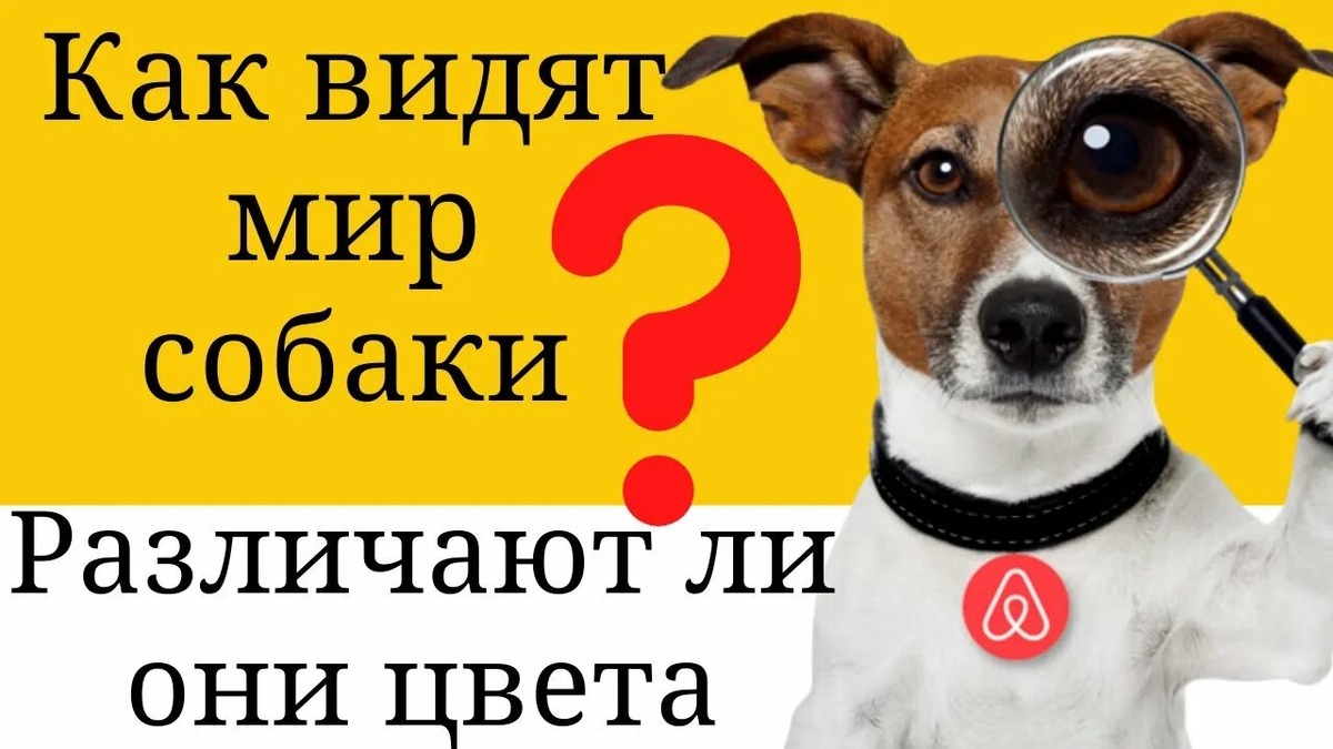 Фотография из интернета