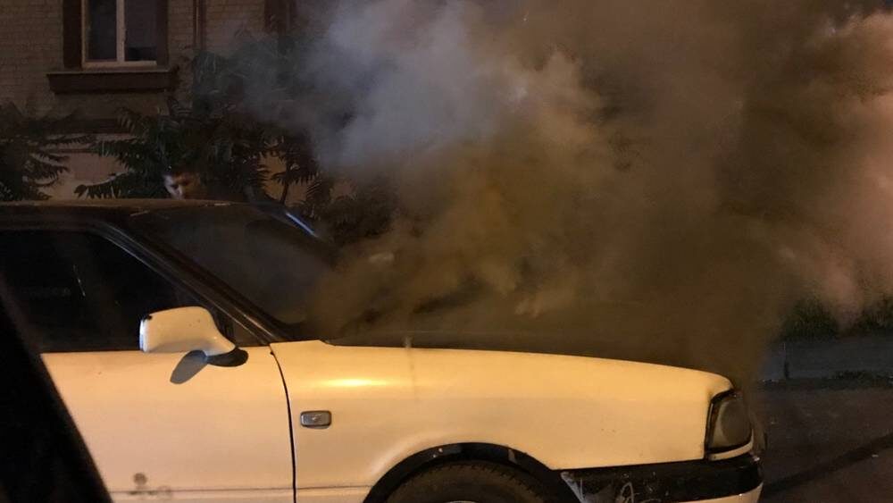    Фото: «Брянские новости»