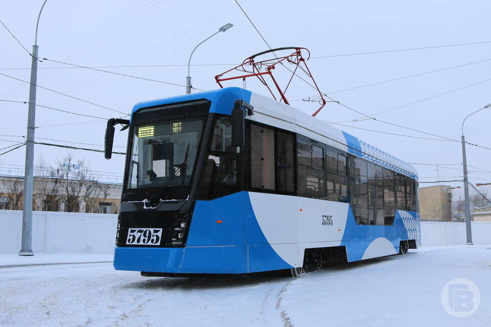    фото: Матвей Горбунов / "Городские вести"