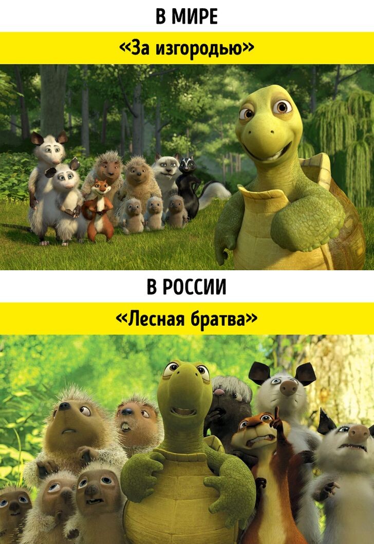 © Over the Hedge / Paramount Pictures
