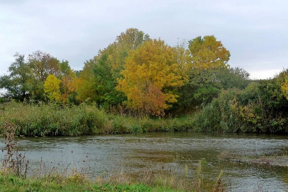    В ДНР следят за состоянием водных объектов. Фото: Правительство ДНР