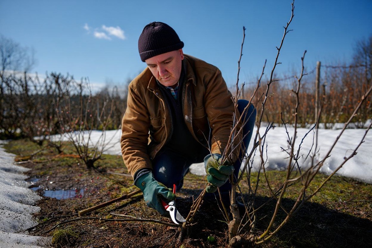 Фото: нейросеть reve