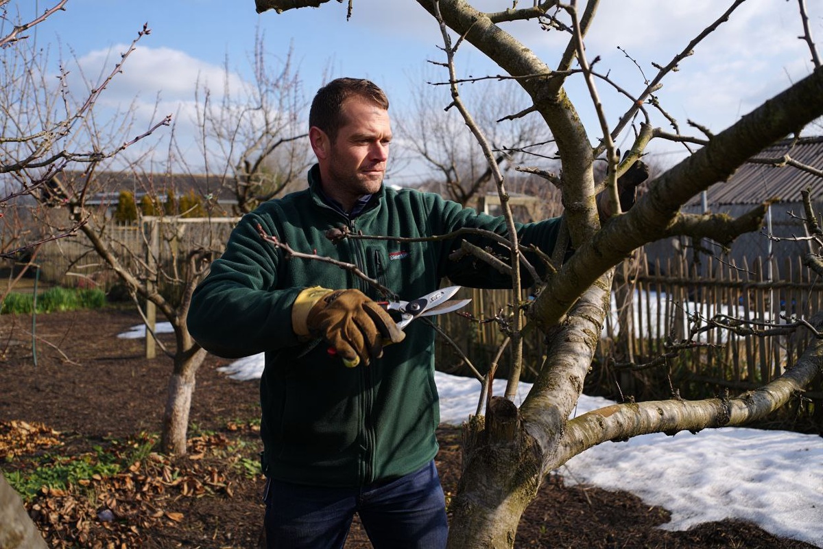 Фото: нейросеть reve