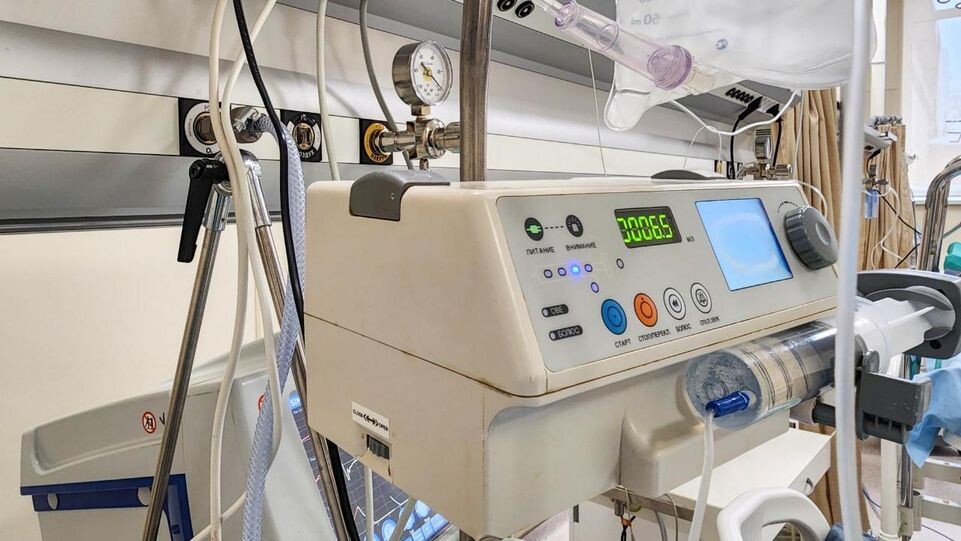     REGIONS / Мария Андрюхина