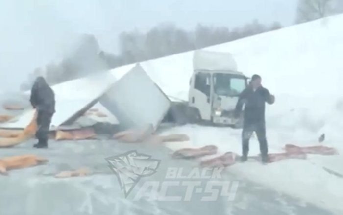 Трассу под Новосибирском завалило свиными тушами
