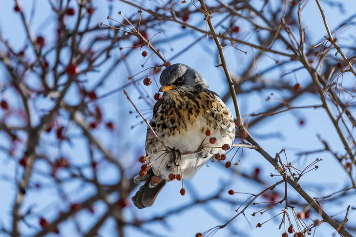    Фото Андрея Заржецкого