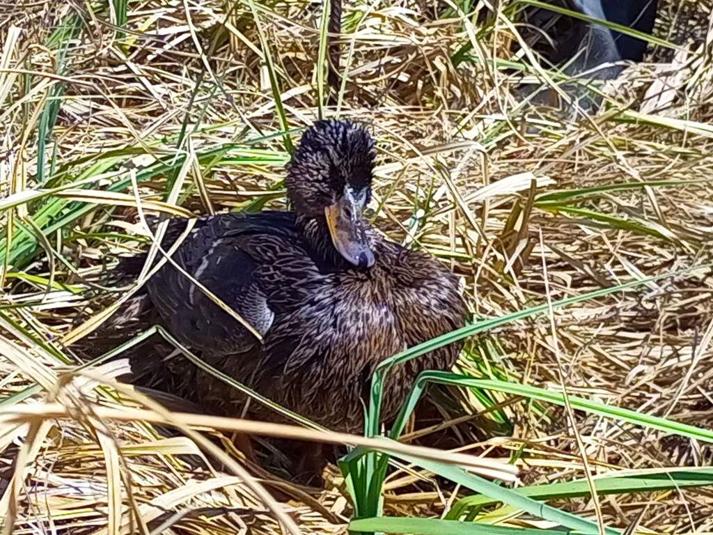    Фото Анны Сентяковой