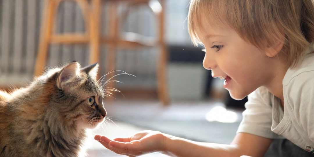Дочка боялась кошку, а через месяц они спали в обнимку. Как подружить ребёнка и кота