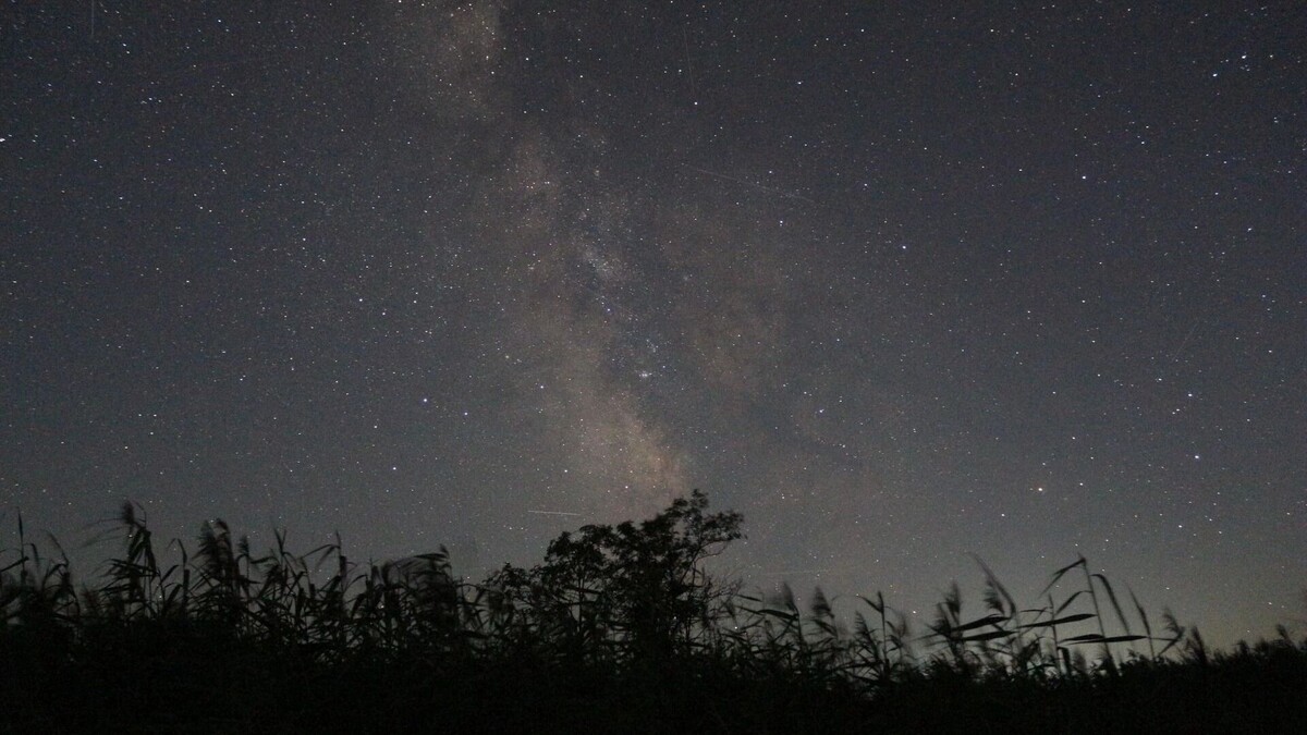    Ростовский ученый рассказал о главных астрономических событиях в марте 2026 года   Николай Дёмин / ВК