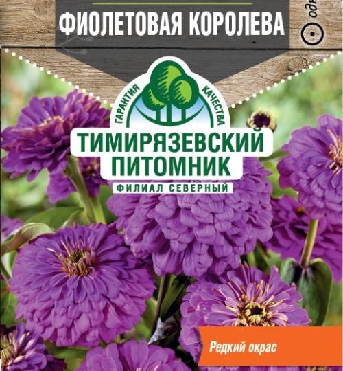 Что посадить в 2026 году, чтобы соседи спрашивали: «А это что за сорт?». Цветы