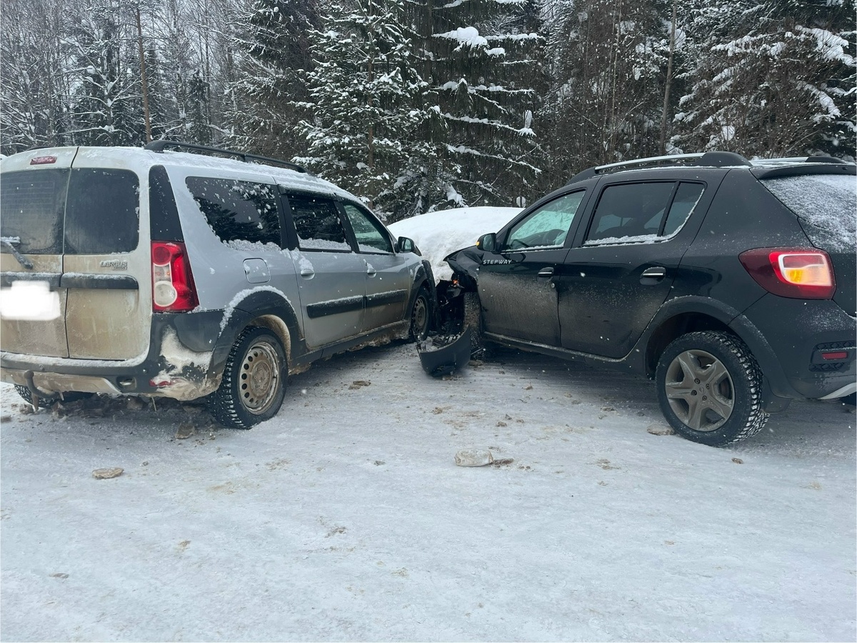    Фото: Госавтоинспекция Кочево, ВК