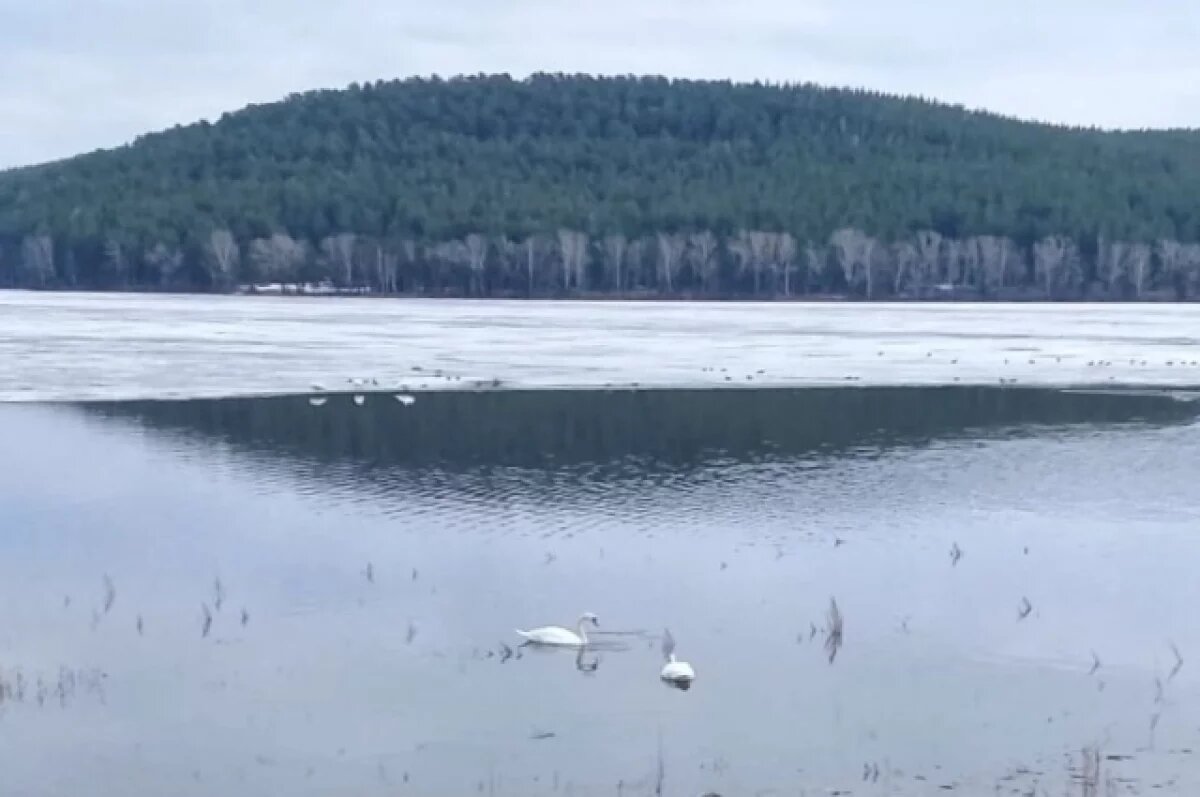   Уровень воды в реках Челябинской области может подняться на метр выше нормы