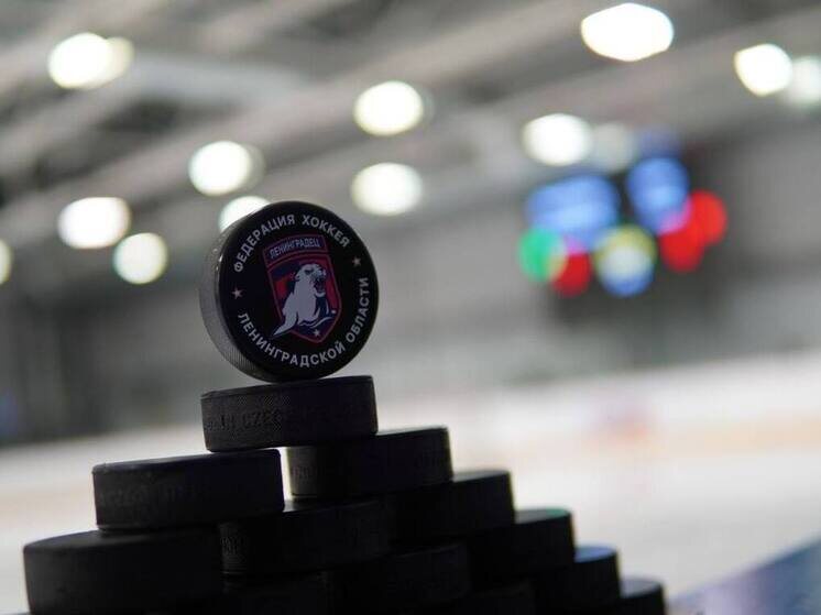     Фото: телеграм-канал ХК «Ленинградец» (архив).