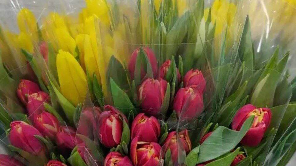 🌷4.03.2026🌷Свежий обзор из магазина Светофор🚦. Такого здесь ещё не было.👍