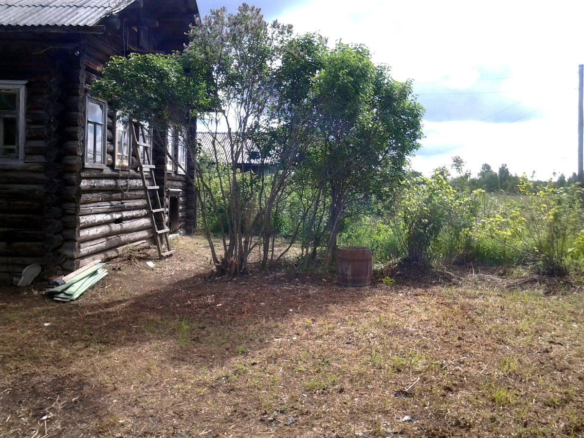 Деревенский дом – седой столетний старец – с интересом и подозрением наблюдал за новыми жителями