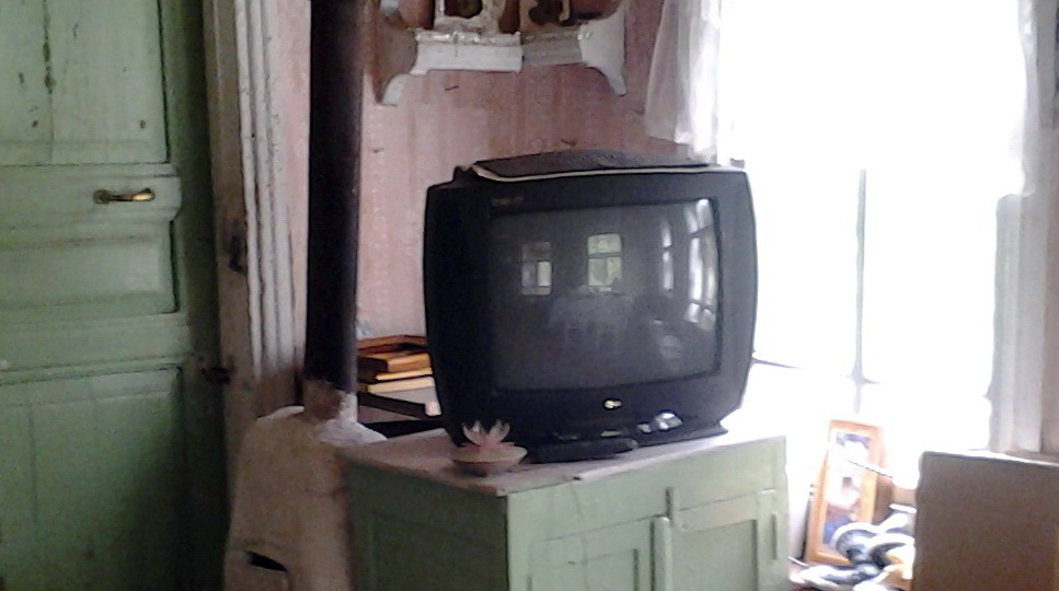 Из квартиры в деревню: первые шаги