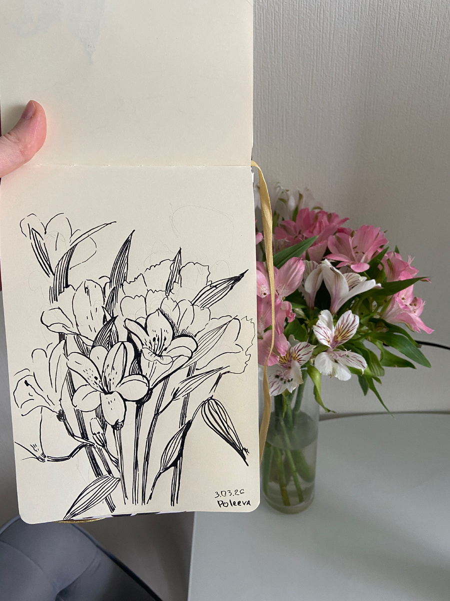 Альстромерия тушью